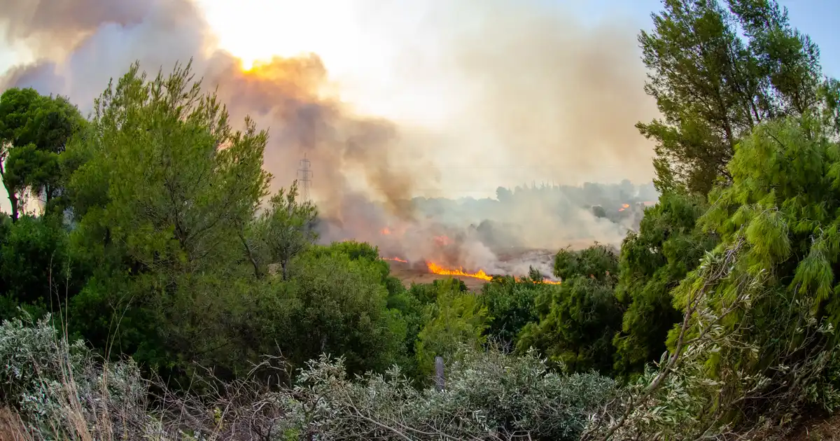Wildfire approaching residential area with smoke filling the sky